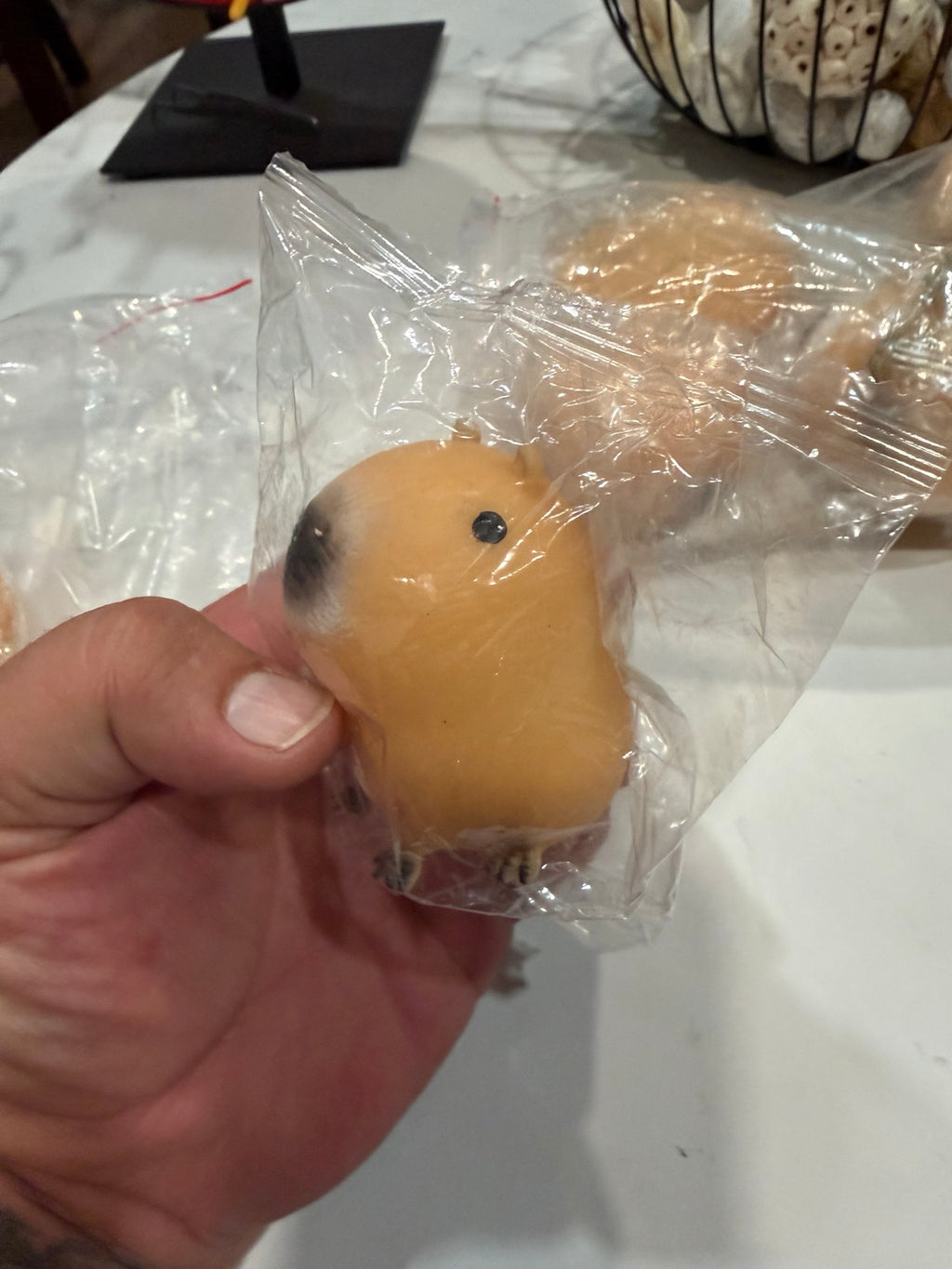 Close-up of tan capybara squishy toy