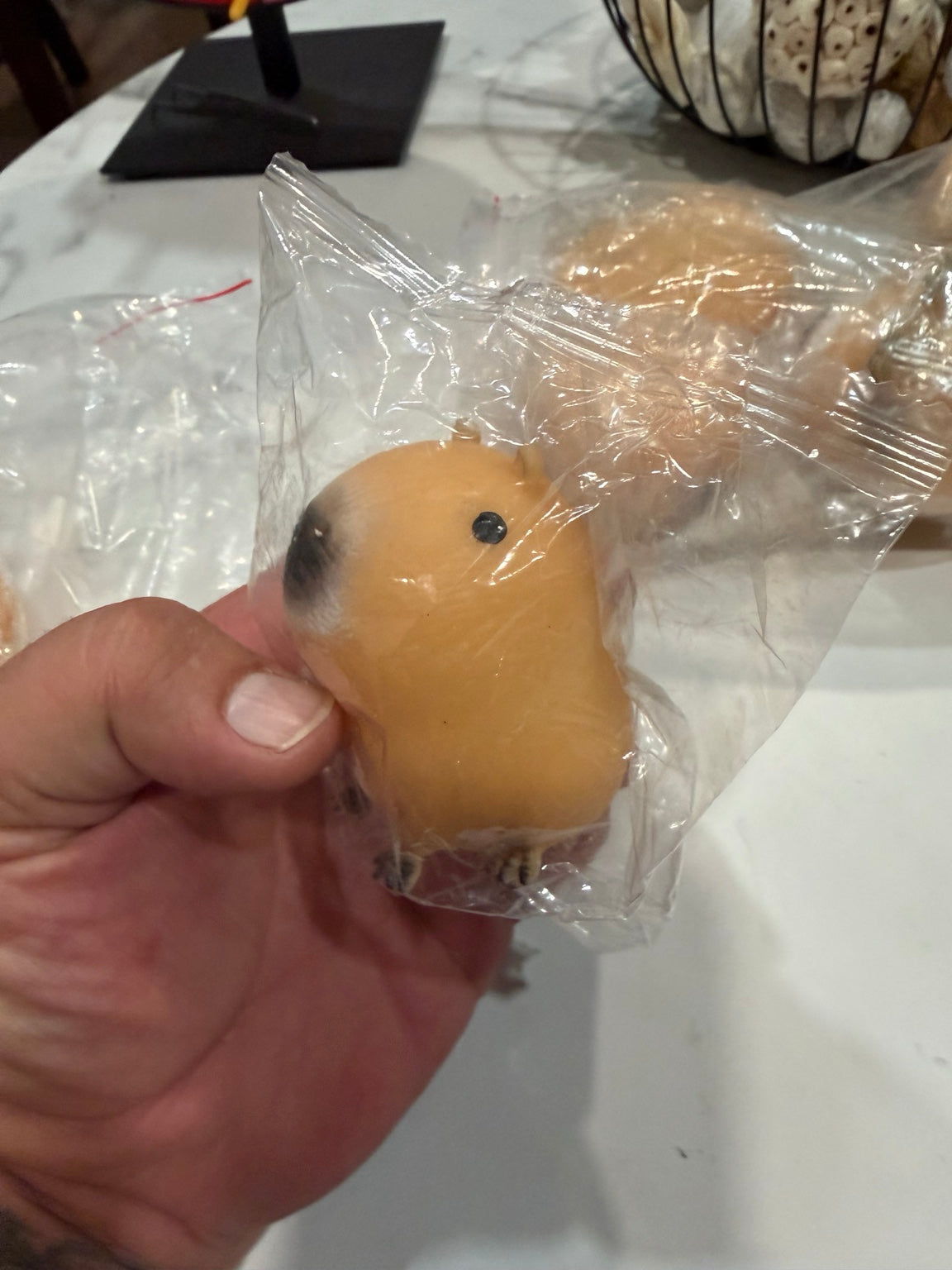 Close-up of tan capybara squishy toy