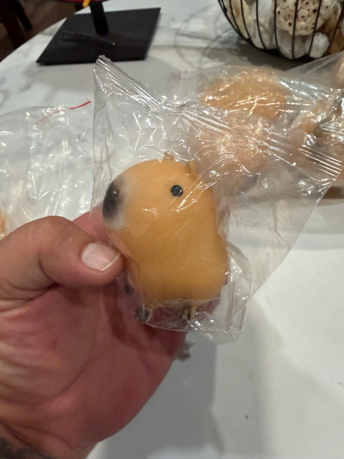 Close-up of tan capybara squishy toy
