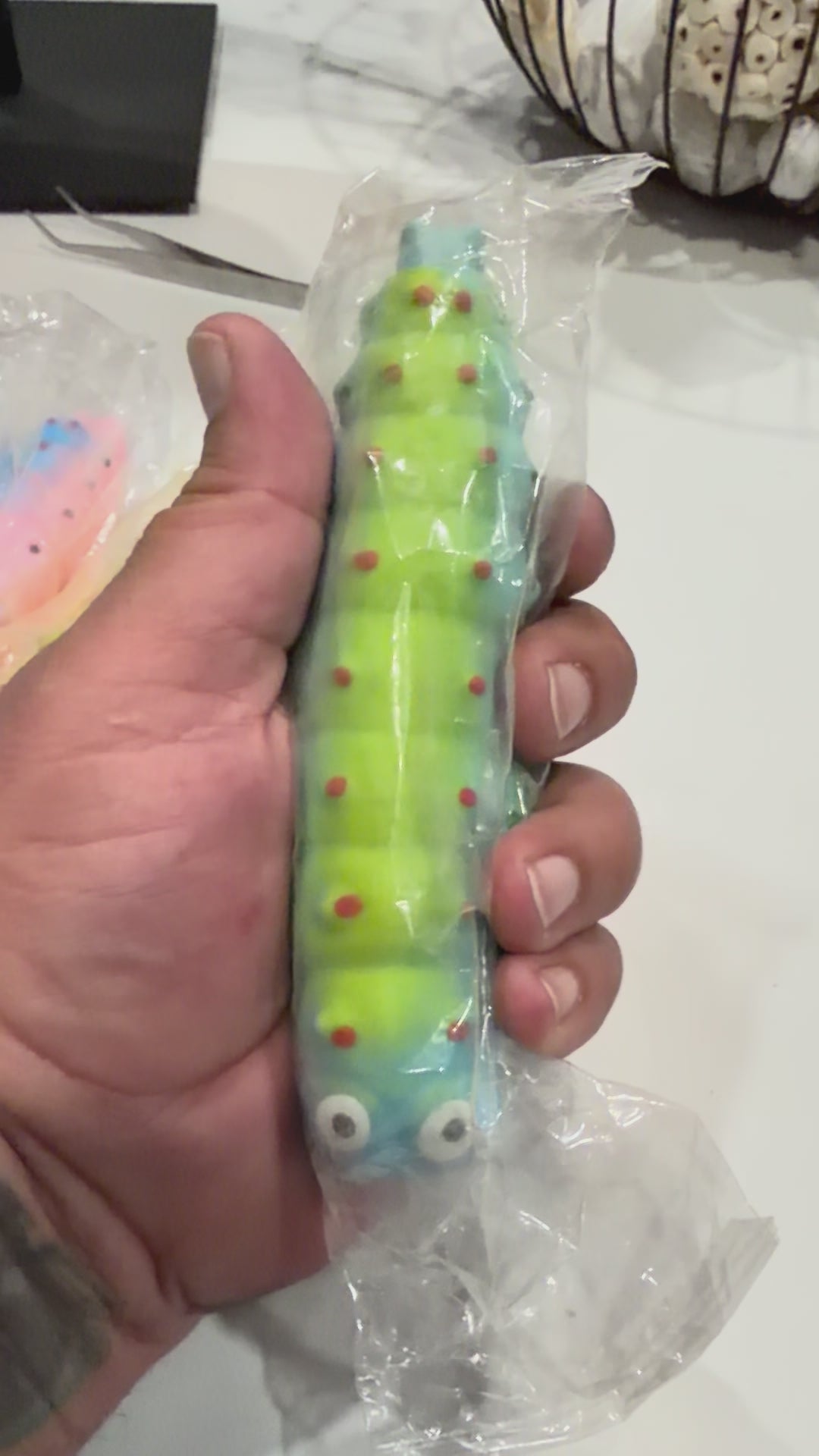 Caterpillar Squishy – Colorful Sensory Fidget Toy